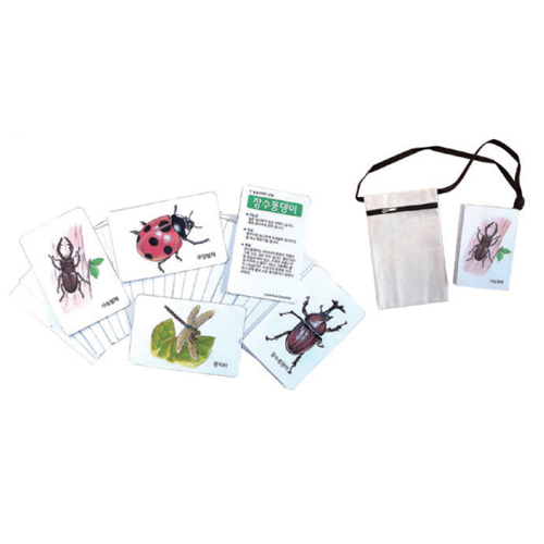 자연그림카드-곤충